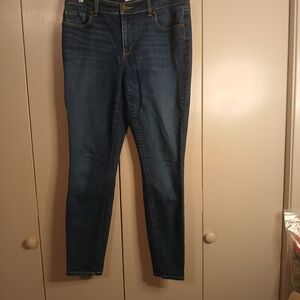 Ann Taylor Dark Blue Skinny Jeans Leggings 30-10 (0596A3)